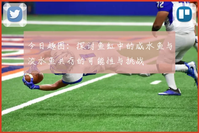 今日趣图：探讨鱼缸中的咸水鱼与淡水鱼共存的可能性与挑战