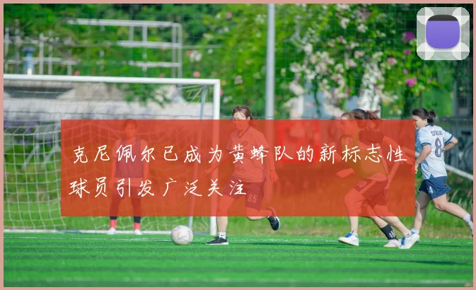 克尼佩尔已成为黄蜂队的新标志性球员引发广泛关注
