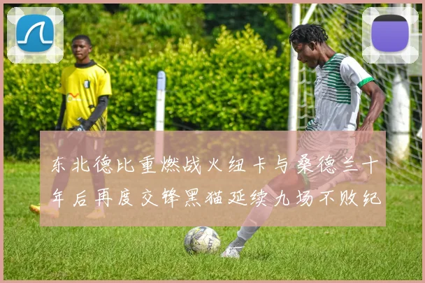 东北德比重燃战火纽卡与桑德兰十年后再度交锋黑猫延续九场不败纪录